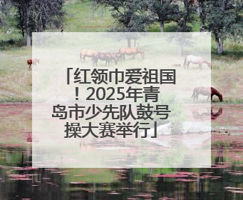 红领巾爱祖国！2025年青岛市少先队鼓号操大赛举行