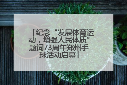 纪念“发展体育运动，增强人民体质”题词73周年郑州手球活动启幕