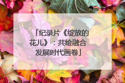 纪录片《绽放的花儿》：共绘融合发展时代画卷