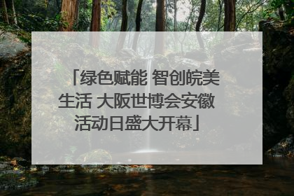 绿色赋能 智创皖美生活 大阪世博会安徽活动日盛大开幕