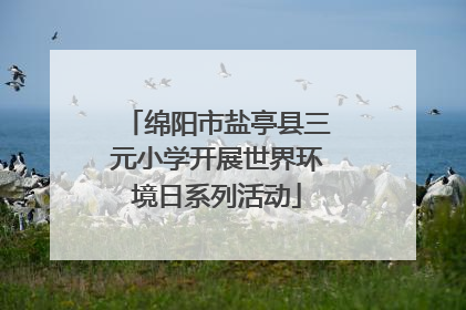 绵阳市盐亭县三元小学开展世界环境日系列活动