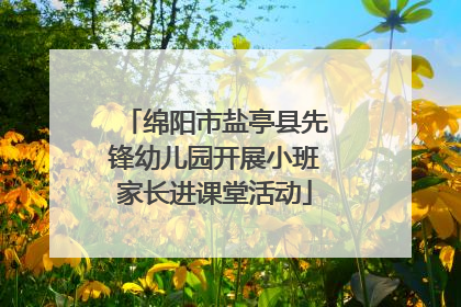 绵阳市盐亭县先锋幼儿园开展小班家长进课堂活动