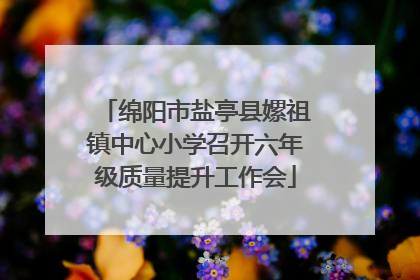 绵阳市盐亭县嫘祖镇中心小学召开六年级质量提升工作会