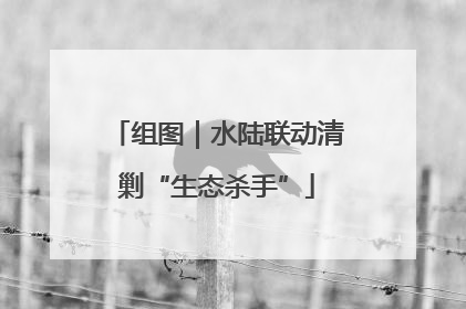 组图｜水陆联动清剿“生态杀手”