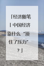 经济随笔丨中国经济靠什么“顶住了压力”？