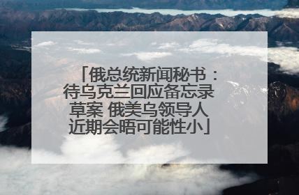 俄总统新闻秘书：待乌克兰回应备忘录草案 俄美乌领导人近期会晤可能性小