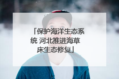 保护海洋生态系统 河北推进海草床生态修复