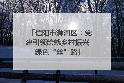 信阳市浉河区：党建引领绘就乡村振兴绿色“丝”路
