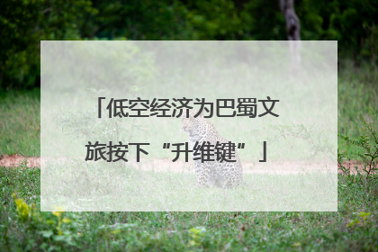 低空经济为巴蜀文旅按下“升维键”