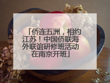 侨连五洲，相约江苏！中国侨联海外联谊研修班活动在南京开班