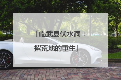 临武县伏水洞：撂荒地的重生