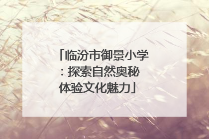 临汾市御景小学：探索自然奥秘 体验文化魅力