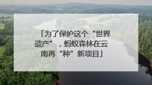 为了保护这个“世界遗产”，蚂蚁森林在云南再“种”新项目