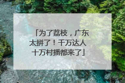 为了荔枝，广东太拼了！千万达人十万村播都来了