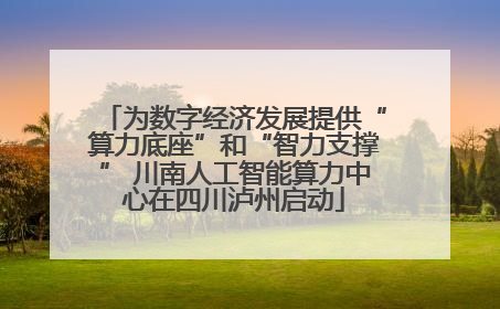 为数字经济发展提供“算力底座”和“智力支撑” 川南人工智能算力中心在四川泸州启动