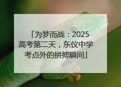 为梦而战：2025高考第二天，东仪中学考点外的拼搏瞬间