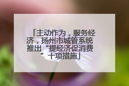 主动作为，服务经济，扬州市城管系统推出“提经济促消费”十项措施