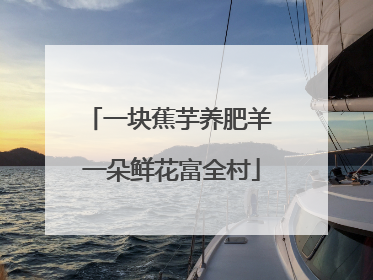 一块蕉芋养肥羊 一朵鲜花富全村
