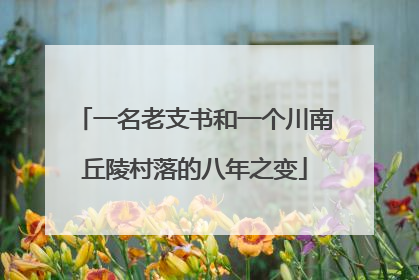 一名老支书和一个川南丘陵村落的八年之变