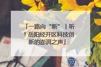 一路向“新”丨听！岳阳经开区科技创新的澎湃之声