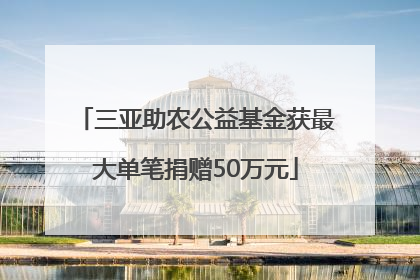 三亚助农公益基金获最大单笔捐赠50万元
