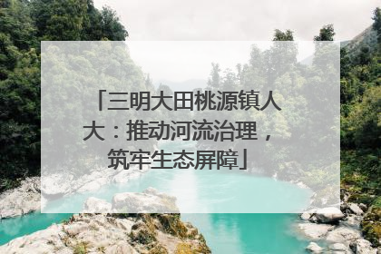 三明大田桃源镇人大：推动河流治理，筑牢生态屏障