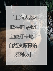 上海人都不晓得的 暑期宝藏打卡地｜自然资源探馆系列②