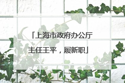 上海市政府办公厅主任王平，履新职