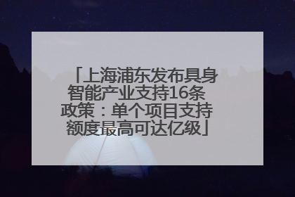 上海浦东发布具身智能产业支持16条政策：单个项目支持额度最高可达亿级