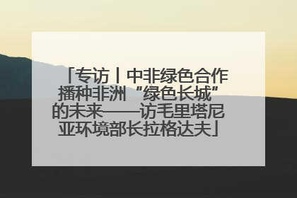 专访丨中非绿色合作播种非洲“绿色长城”的未来——访毛里塔尼亚环境部长拉格达夫