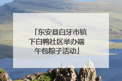 东安县白牙市镇下白鸭社区举办端午包粽子活动