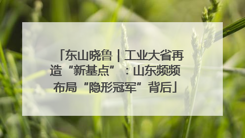 东山晓鲁｜工业大省再造“新基点”：山东频频布局“隐形冠军”背后