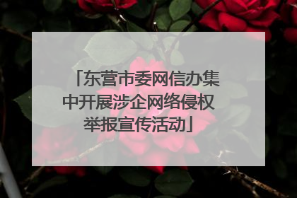 东营市委网信办集中开展涉企网络侵权举报宣传活动