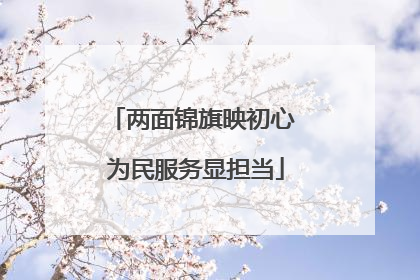 两面锦旗映初心 为民服务显担当