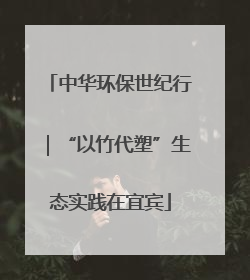 中华环保世纪行｜“以竹代塑”生态实践在宜宾