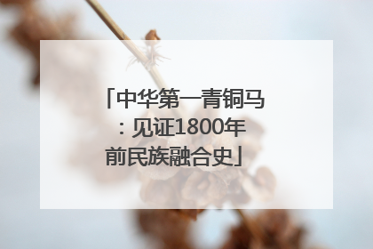 中华第一青铜马：见证1800年前民族融合史