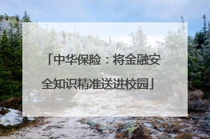 中华保险：将金融安全知识精准送进校园