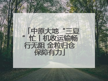 中原大地“三夏”忙丨机收运输畅行无阻 金粒归仓保障有力
