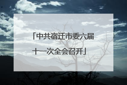 中共宿迁市委六届十一次全会召开