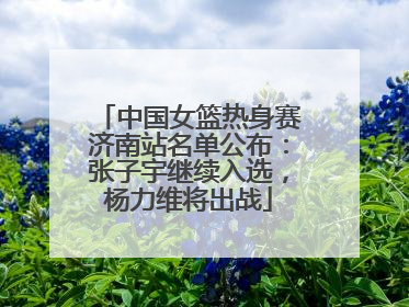 中国女篮热身赛济南站名单公布：张子宇继续入选，杨力维将出战