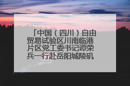 中国（四川）自由贸易试验区川南临港片区党工委书记谭荣兵一行赴岳阳城陵矶综保区考察
