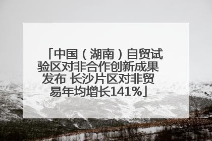 中国（湖南）自贸试验区对非合作创新成果发布 长沙片区对非贸易年均增长141%