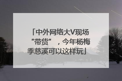 中外网络大V现场“带货”，今年杨梅季慈溪可以这样玩