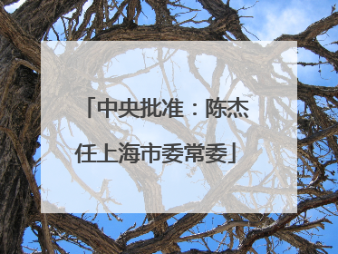 中央批准：陈杰任上海市委常委