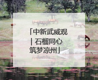中新武威观｜石榴同心 筑梦凉州