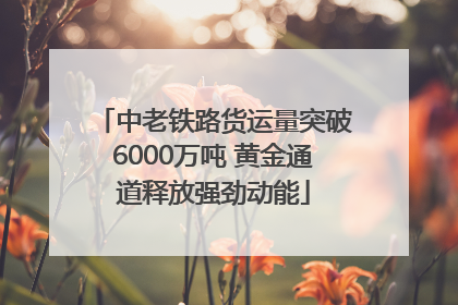 中老铁路货运量突破6000万吨 黄金通道释放强劲动能