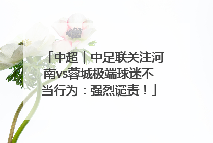 中超｜中足联关注河南vs蓉城极端球迷不当行为：强烈谴责！