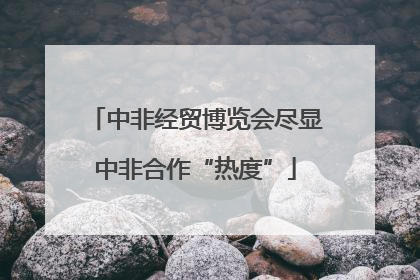 中非经贸博览会尽显中非合作“热度”