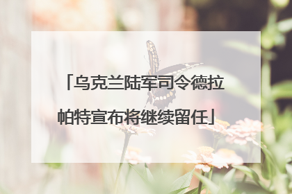 乌克兰陆军司令德拉帕特宣布将继续留任