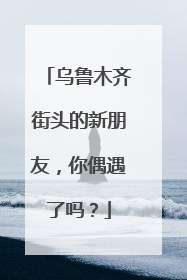 乌鲁木齐街头的新朋友，你偶遇了吗？